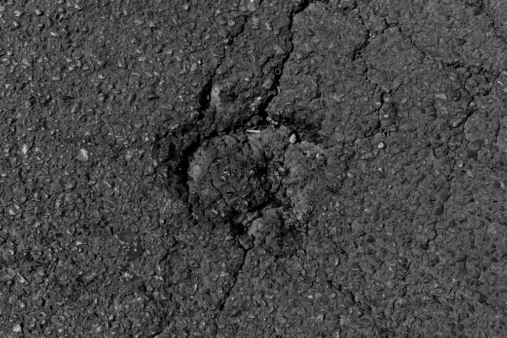 Can a Pothole Damage Your Tires and Suspension?