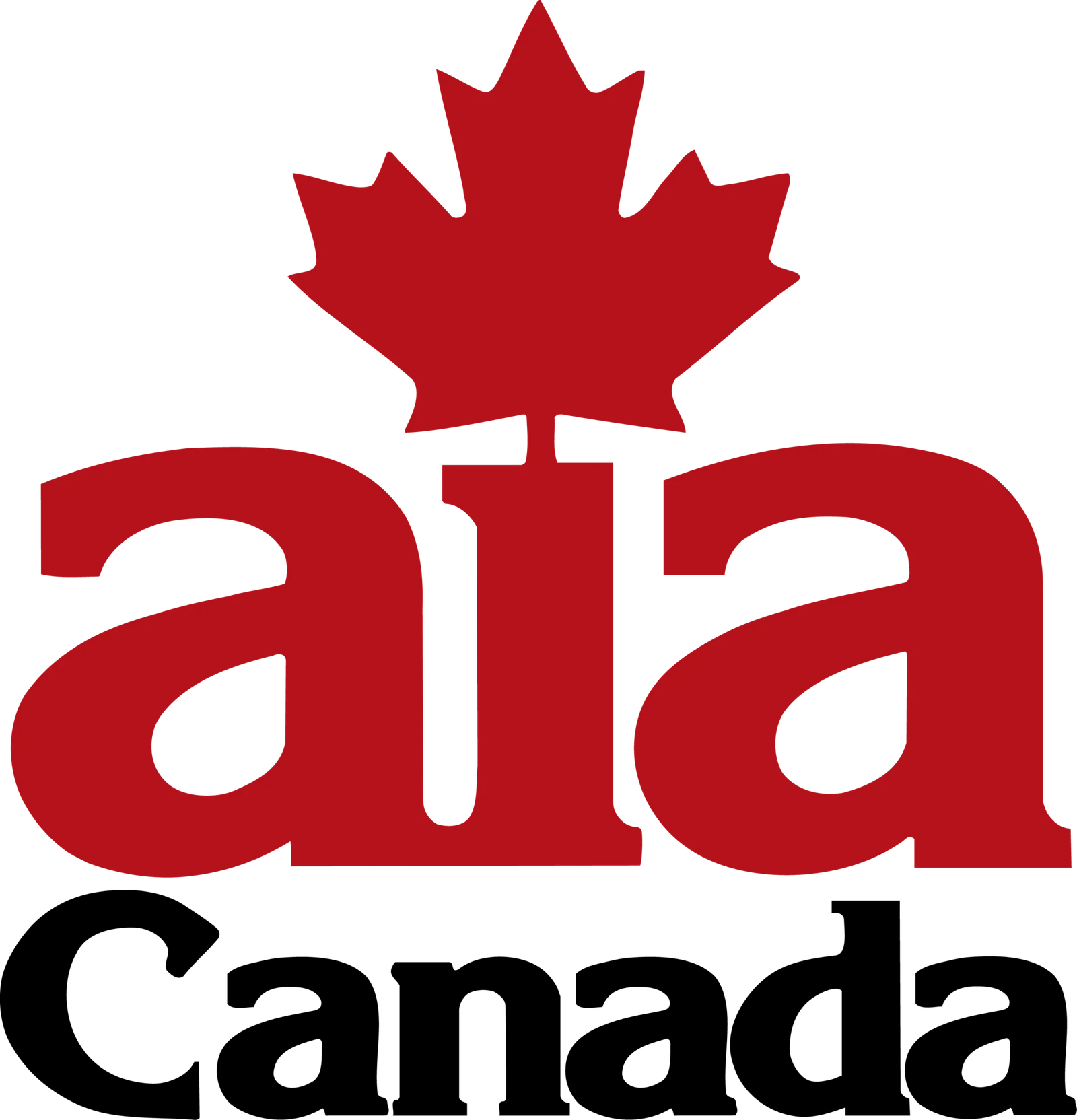 Automotive Service Accreditation